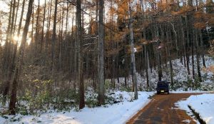 【黒姫保養地】439坪！広大な森の中の土地☆野尻 黒姫山【土地-62】